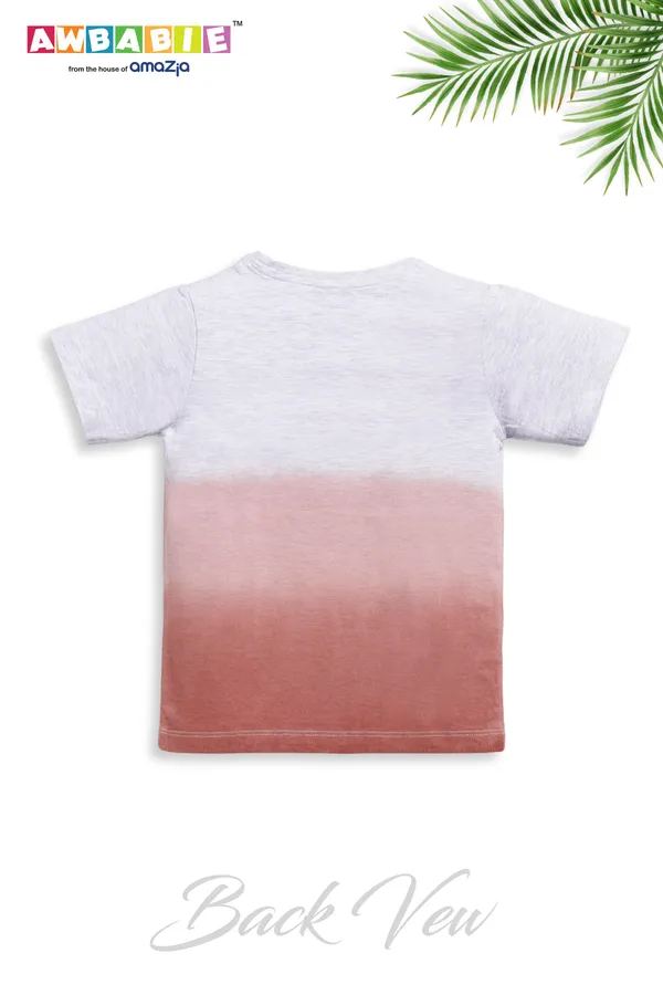 Grey__Soft_Cotton_Regular_T-Shirt_And_Brown_Shorts_For_Boy_(Combo)
