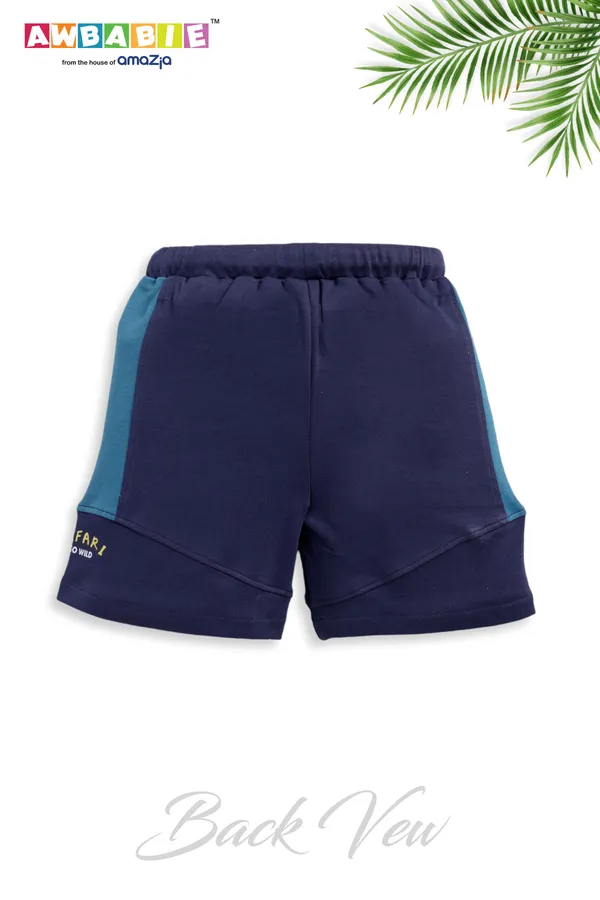 Sky_Blue_Soft_Cotton_Regular_T-Shirt_And_Blue_Shorts_For_Boy_(Combo)