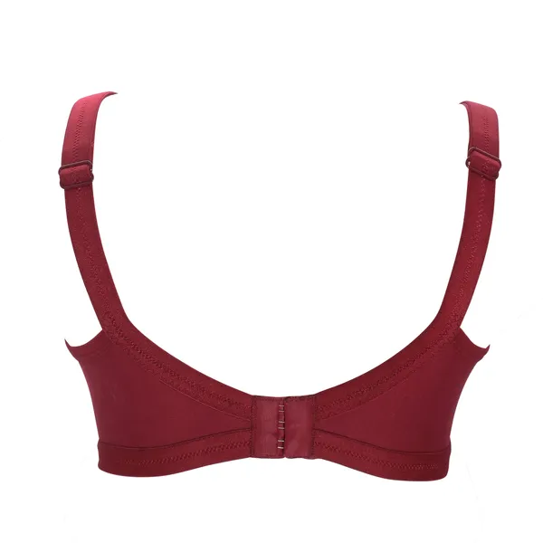 Women's_Lace_Bra_|_Fully_Streachable_|__|_Non-Padded_|_Non-Wired_|_Full_Coverage_(Pack_of_2)