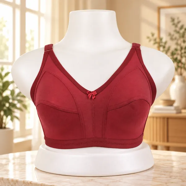 Women's_M-Frame_Bra_Full_Coverage_Non-Padded_Non-Wired_Seamed_Cups_with_Wide_Adjustable_Straps_Pack_of_3