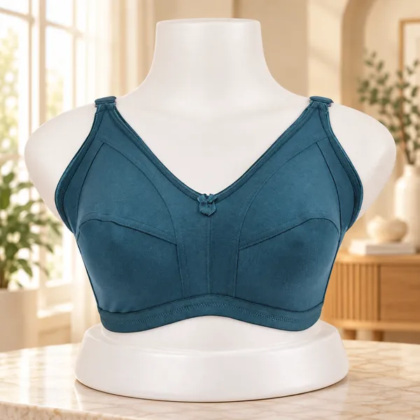 Women's_M-Frame_Bra_Full_Coverage_Non-Padded_Non-Wired_Seamed_Cups_with_Wide_Adjustable_Straps_Pack_of_3