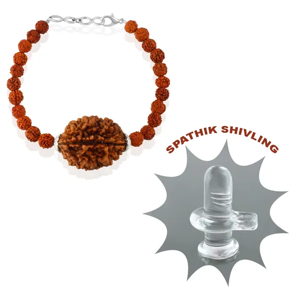 2_Mukhi_With_5_Mukhi_Silver_Plated_Rudraksha_Bracelet_With_Sphatik_Crystal_Shivling_|_For_Men_&_Women_Natural_&_Certified