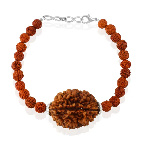 2_Mukhi_With_5_Mukhi_Silver_Plated_Rudraksha_Bracelet_With_Sphatik_Crystal_Shivling_|_For_Men_&_Women_Natural_&_Certified