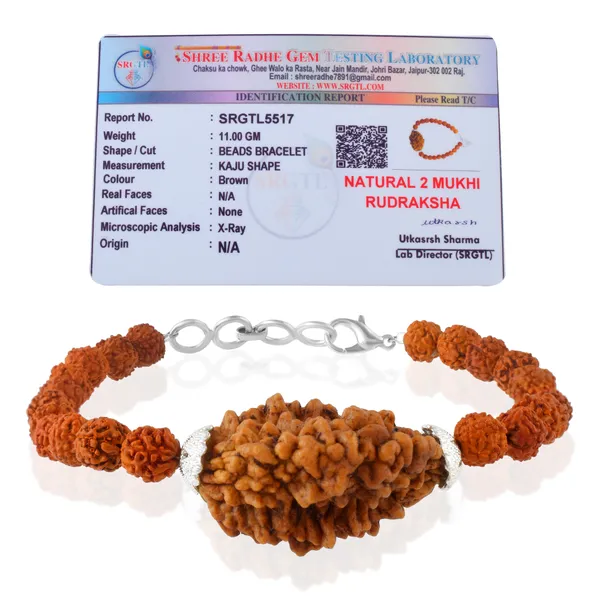 2_Mukhi_With_5_Mukhi_Silver_Plated_Rudraksha_Bracelet_With_Sphatik_Crystal_Shivling_|_For_Men_&_Women_Natural_&_Certified