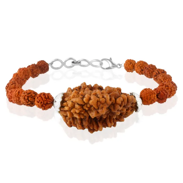 2_Mukhi_With_5_Mukhi_Silver_Plated_Rudraksha_Bracelet_With_Sphatik_Crystal_Shivling_|_For_Men_&_Women_Natural_&_Certified