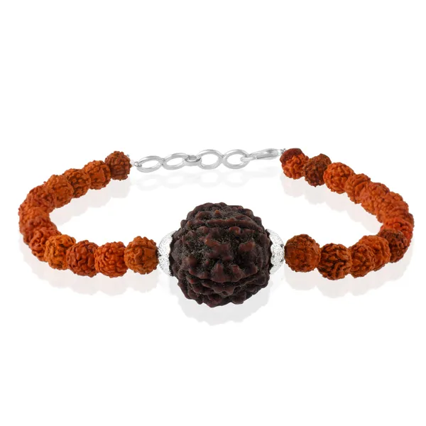 6_Mukhi_With_5_Mukhi_Silver_Plated_Rudraksha_Bracelet_With_Sphatik_Crystal_Shivling_|_For_Men_&_Women_Natural_&_Certified
