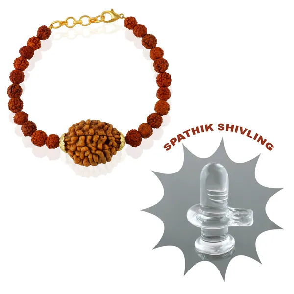 2_Mukhi_With_5_Mukhi_Gold_Plated_Rudraksha_Bracelet_With_Sphatik_Crystal_Shivling_|_For_Men_&_Women_Natural_&_Certified