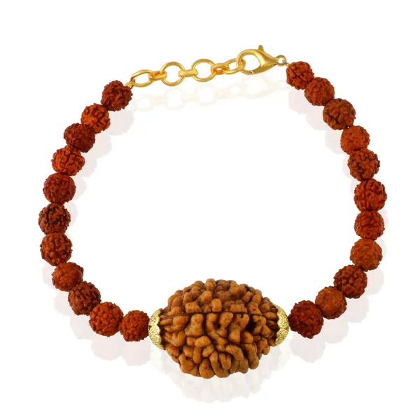 2_Mukhi_With_5_Mukhi_Gold_Plated_Rudraksha_Bracelet_With_Sphatik_Crystal_Shivling_|_For_Men_&_Women_Natural_&_Certified