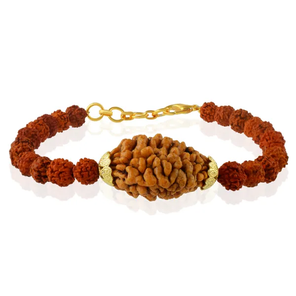 2_Mukhi_With_5_Mukhi_Gold_Plated_Rudraksha_Bracelet_With_Sphatik_Crystal_Shivling_|_For_Men_&_Women_Natural_&_Certified