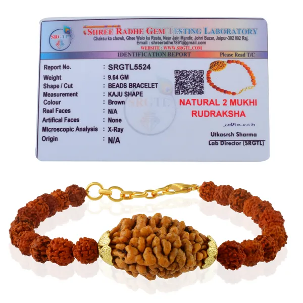 2_Mukhi_With_5_Mukhi_Gold_Plated_Rudraksha_Bracelet_With_Sphatik_Crystal_Shivling_|_For_Men_&_Women_Natural_&_Certified