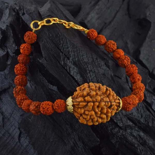 2_Mukhi_With_5_Mukhi_Gold_Plated_Rudraksha_Bracelet_With_Sphatik_Crystal_Shivling_|_For_Men_&_Women_Natural_&_Certified