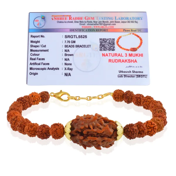 3_Mukhi_With_5_Mukhi_Gold_Plated_Rudraksha_Bracelet_With_Sphatik_Crystal_Shivling_|_For_Men_&_Women_Natural_&_Certified