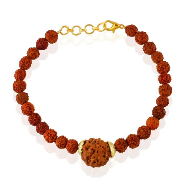 4_Mukhi_With_5_Mukhi_Gold_Plated_Rudraksha_Bracelet_With_Sphatik_Crystal_Shivling_|_For_Men_&_Women_Natural_&_Certified