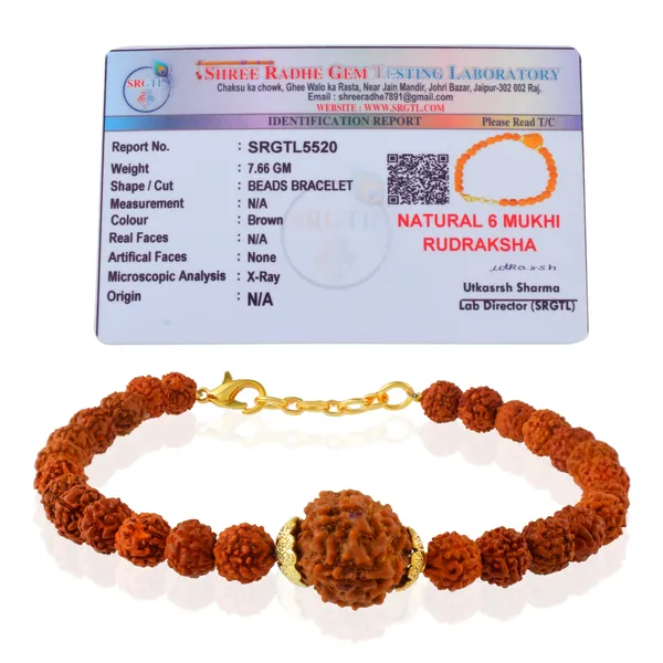 6_Mukhi_With_5_Mukhi_Gold_Plated_Rudraksha_Bracelet_With_Sphatik_Crystal_Shivling_|_For_Men_&_Women_Natural_&_Certified