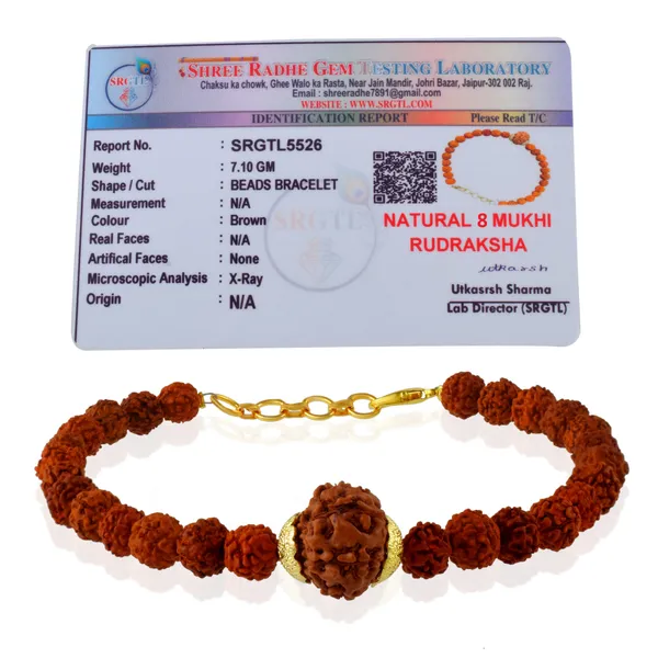 8_Mukhi_With_5_Mukhi_Gold_Plated_Rudraksha_Bracelet_With_Sphatik_Crystal_Shivling_|_For_Men_&_Women_Natural_&_Certified