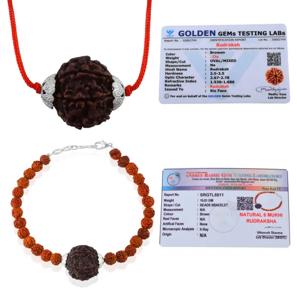 Combo_Of_6_Mukhi_Nepali_Rudraksha_Gold_Plated_Pendant_And_Bracelet_With_Sphatik_Crystal_Shivling_|_Astrological_Rudraksha_Natural_&_Certified