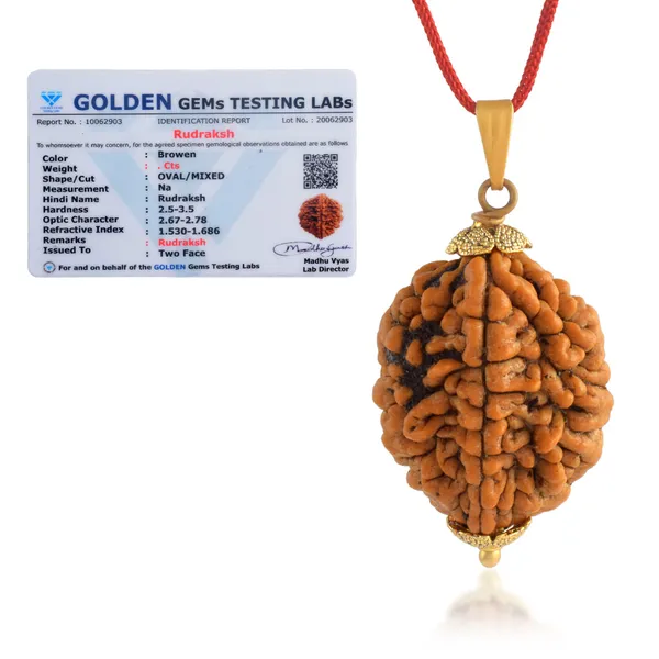 2_Mukhi_Nepali_Rudraksha_With_Sterling_Silver_Chain_|_For_Men_&_Women_Natural_&_Certified