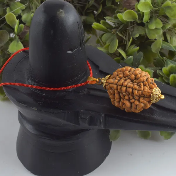 2_Mukhi_Nepali_Rudraksha_With_Sterling_Silver_Chain_|_For_Men_&_Women_Natural_&_Certified