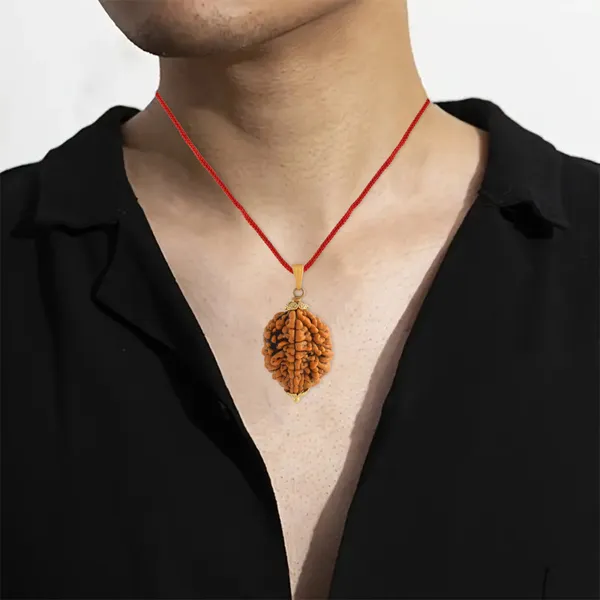 2_Mukhi_Nepali_Rudraksha_With_Sterling_Silver_Chain_|_For_Men_&_Women_Natural_&_Certified