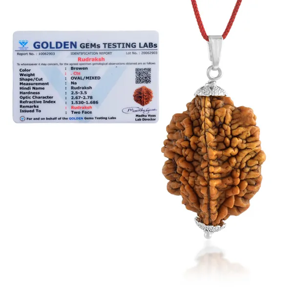 2_Mukhi_Nepali_Rudraksha_With_Sterling_Silver_Chain_|_For_Men_&_Women_Natural_&_Certified