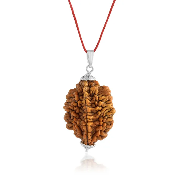 2_Mukhi_Nepali_Rudraksha_With_Sterling_Silver_Chain_|_For_Men_&_Women_Natural_&_Certified