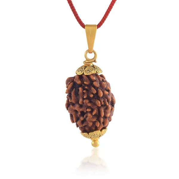 3_Mukhi_Nepali_Rudraksha_With_Sterling_Silver_Chain_|_For_Men_&_Women_Natural_&_Certified