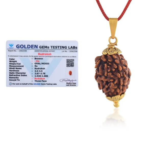 3_Mukhi_Nepali_Rudraksha_With_Sterling_Silver_Chain_|_For_Men_&_Women_Natural_&_Certified