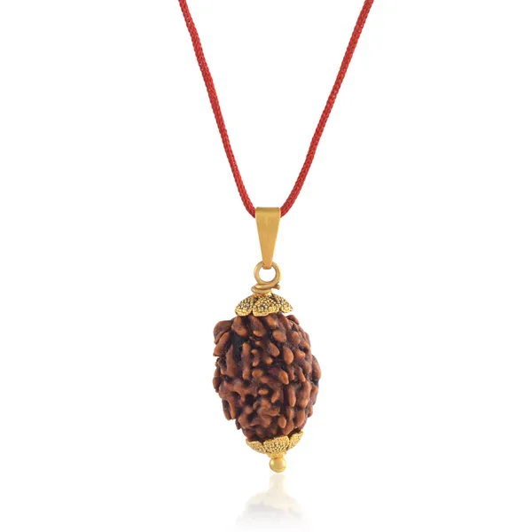 3_Mukhi_Nepali_Rudraksha_With_Sterling_Silver_Chain_|_For_Men_&_Women_Natural_&_Certified