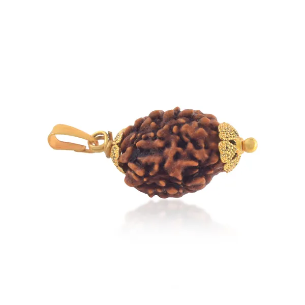 3_Mukhi_Nepali_Rudraksha_With_Sterling_Silver_Chain_|_For_Men_&_Women_Natural_&_Certified
