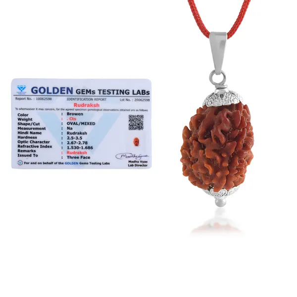 3_Mukhi_Nepali_Rudraksha_With_Sterling_Silver_Chain_|_For_Men_&_Women_Natural_&_Certified