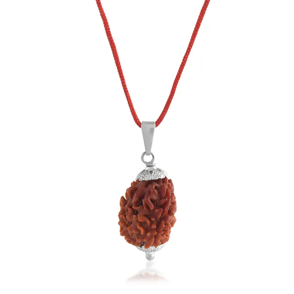 3_Mukhi_Nepali_Rudraksha_With_Sterling_Silver_Chain_|_For_Men_&_Women_Natural_&_Certified
