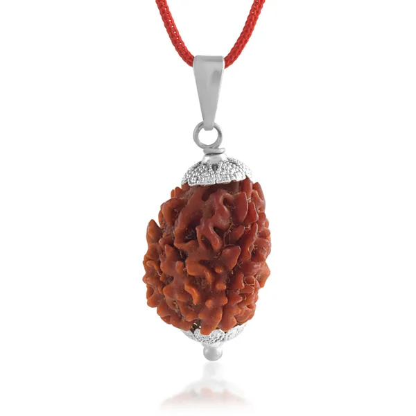 3_Mukhi_Nepali_Rudraksha_With_Sterling_Silver_Chain_|_For_Men_&_Women_Natural_&_Certified