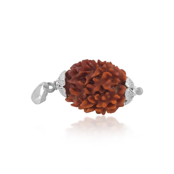 3_Mukhi_Nepali_Rudraksha_With_Sterling_Silver_Chain_|_For_Men_&_Women_Natural_&_Certified