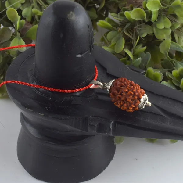 3_Mukhi_Nepali_Rudraksha_With_Sterling_Silver_Chain_|_For_Men_&_Women_Natural_&_Certified