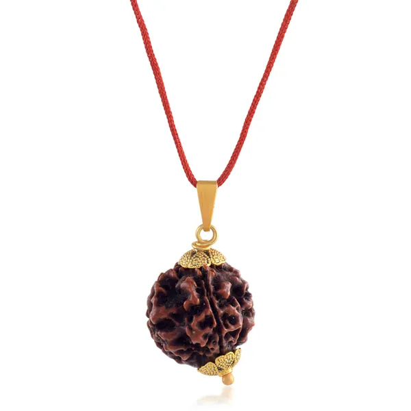 4_Mukhi_Nepali_Rudraksha_With_Sterling_Silver_Chain_|_For_Men_&_Women_Natural_&_Certified