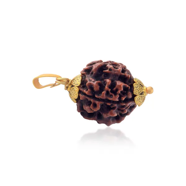 4_Mukhi_Nepali_Rudraksha_With_Sterling_Silver_Chain_|_For_Men_&_Women_Natural_&_Certified
