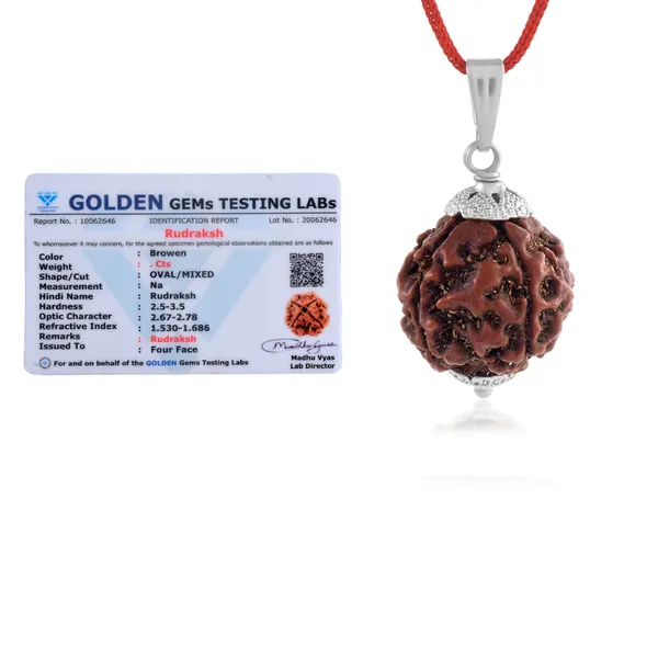4_Mukhi_Nepali_Rudraksha_With_Sterling_Silver_Chain_|_For_Men_&_Women_Natural_&_Certified