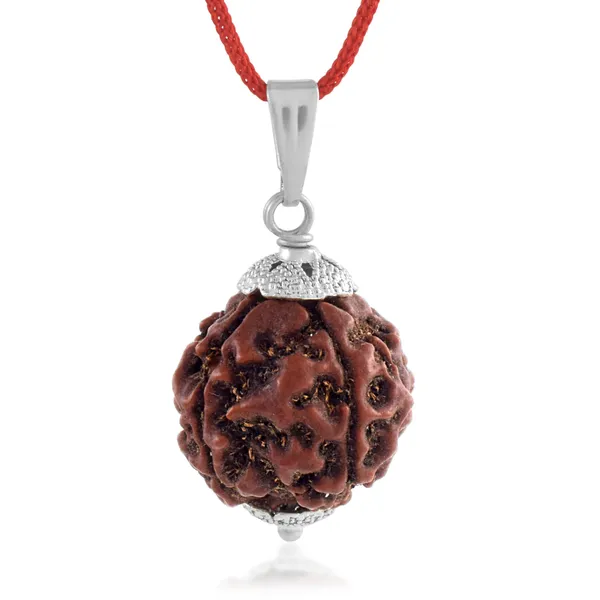 4_Mukhi_Nepali_Rudraksha_With_Sterling_Silver_Chain_|_For_Men_&_Women_Natural_&_Certified