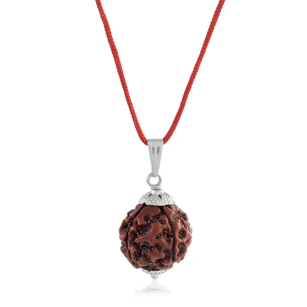 4_Mukhi_Nepali_Rudraksha_With_Sterling_Silver_Chain_|_For_Men_&_Women_Natural_&_Certified