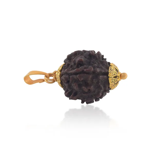 5_Mukhi_Rudraksha_Pendant_With_Red_Thread_|_For_Men_&_Women_Natural_&_Certified