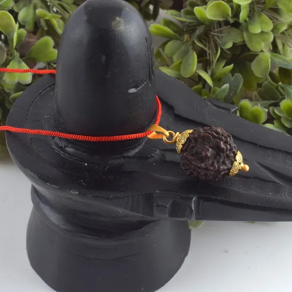 5_Mukhi_Rudraksha_Pendant_With_Red_Thread_|_For_Men_&_Women_Natural_&_Certified