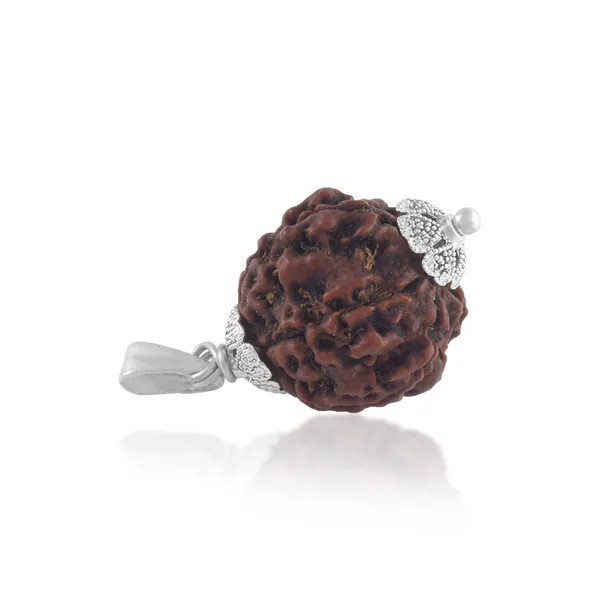 5_Mukhi_Rudraksha_Pendant_With_Red_Thread_|_For_Men_&_Women_Natural_&_Certified