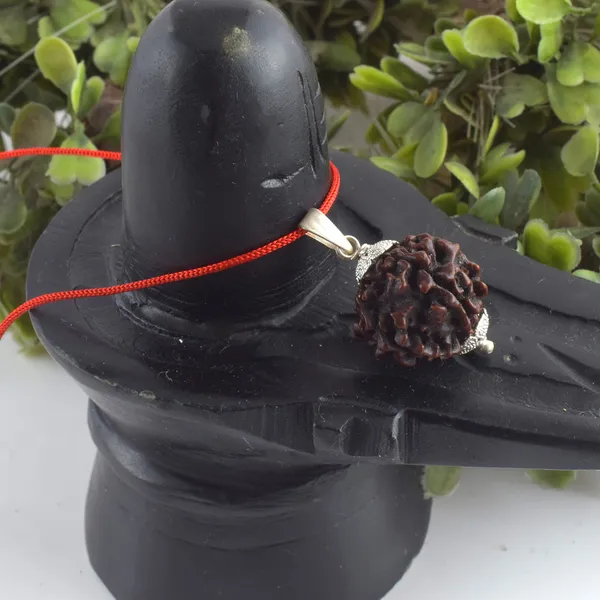 5_Mukhi_Rudraksha_Pendant_With_Red_Thread_|_For_Men_&_Women_Natural_&_Certified