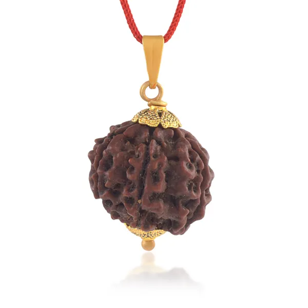 6_Mukhi_Rudraksha_Pendant_With_Red_Thread_|_For_Men_&_Women_Natural_&_Certified