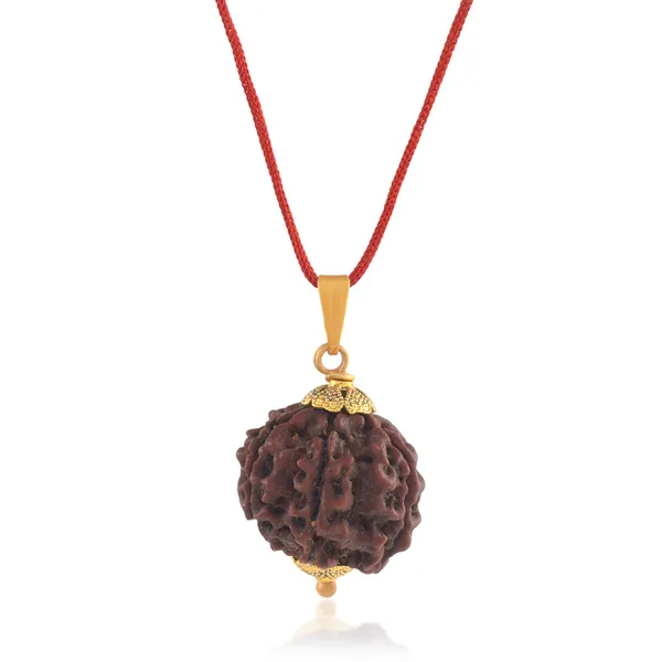 6_Mukhi_Rudraksha_Pendant_With_Red_Thread_|_For_Men_&_Women_Natural_&_Certified