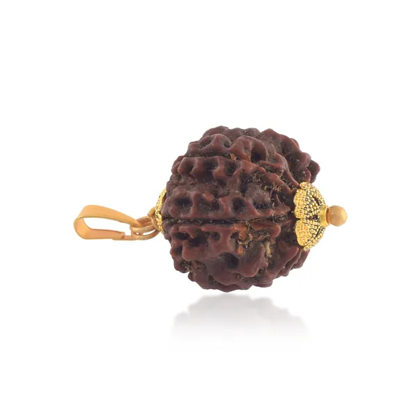 6_Mukhi_Rudraksha_Pendant_With_Red_Thread_|_For_Men_&_Women_Natural_&_Certified