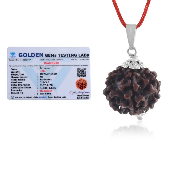 6_Mukhi_Rudraksha_Pendant_With_Red_Thread_|_For_Men_&_Women_Natural_&_Certified