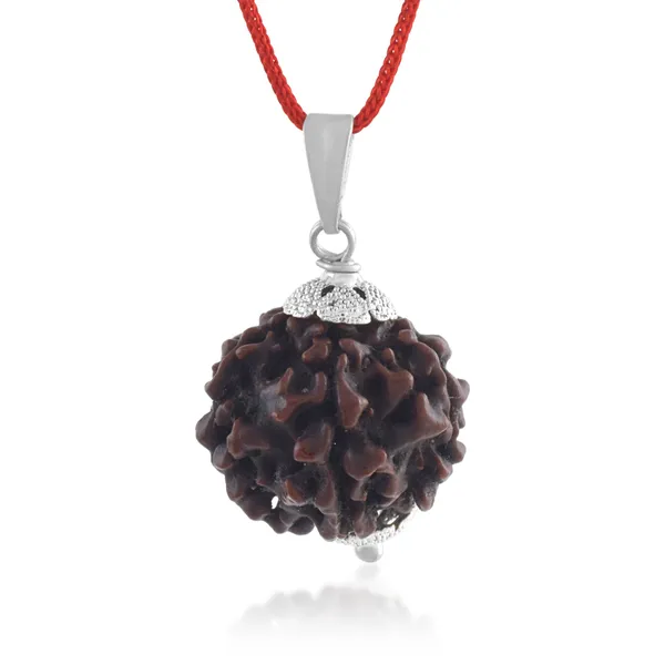 6_Mukhi_Rudraksha_Pendant_With_Red_Thread_|_For_Men_&_Women_Natural_&_Certified
