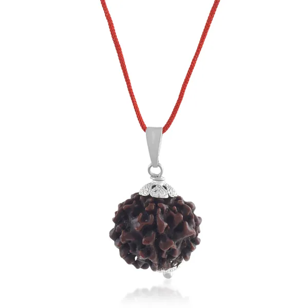 6_Mukhi_Rudraksha_Pendant_With_Red_Thread_|_For_Men_&_Women_Natural_&_Certified