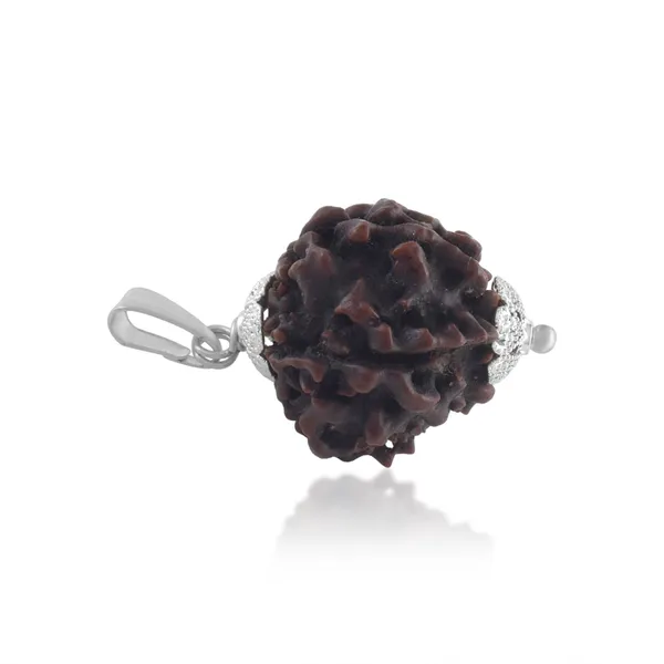 6_Mukhi_Rudraksha_Pendant_With_Red_Thread_|_For_Men_&_Women_Natural_&_Certified